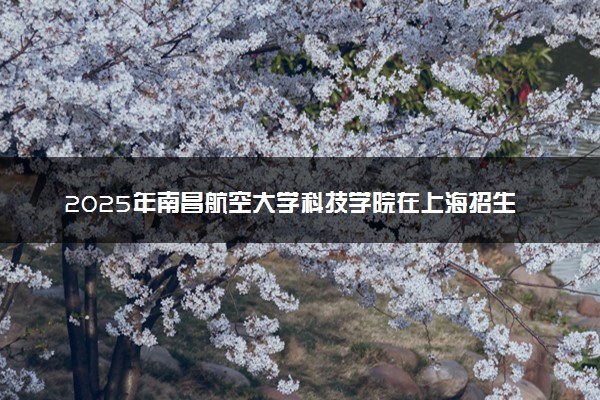 2025年南昌航空大学科技学院在上海招生代码：617 专业代码及报考指南