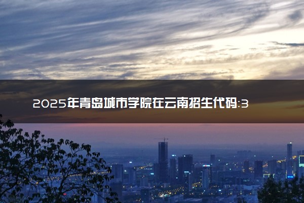 2025年青岛城市学院在云南招生代码：3740 专业代码及报考指南