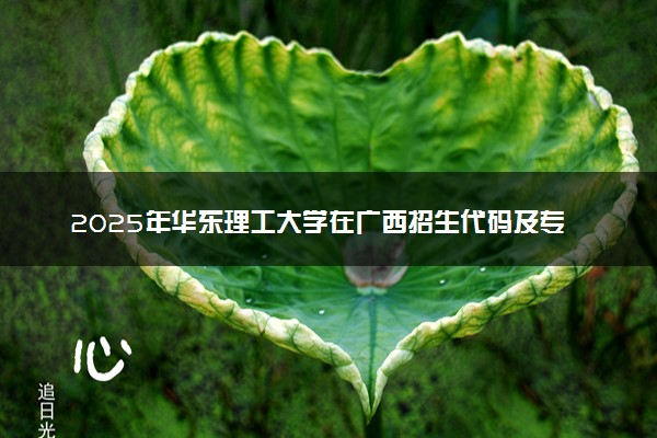 2025年华东理工大学在广西招生代码及专业代码 华东理工大学广西代码是多少？怎么查询？