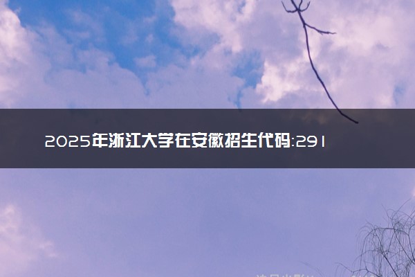 2025年浙江大学在安徽招生代码：2911 专业代码及报考指南