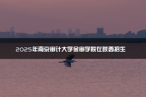 2025年南京审计大学金审学院在陕西招生代码：3069 专业代码及报考指南