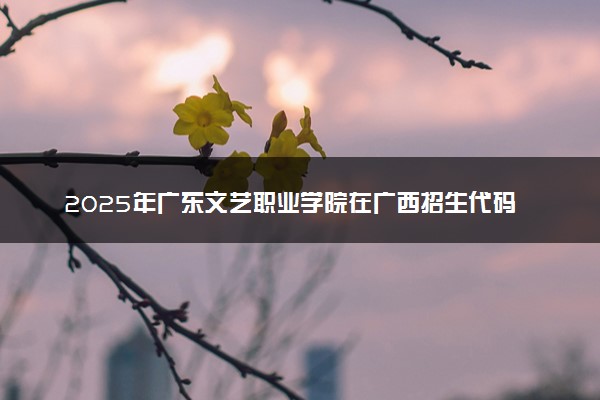2025年广东文艺职业学院在广西招生代码：13707 专业代码及报考指南