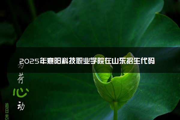 2025年襄阳科技职业学院在山东招生代码及专业代码 襄阳科技职业学院山东代码是多少？怎么查询？