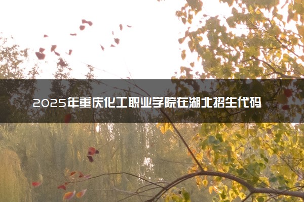 2025年重庆化工职业学院在湖北招生代码及专业代码 重庆化工职业学院湖北代码是多少？怎么查询？