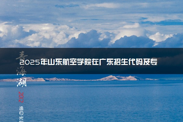 2025年山东航空学院在广东招生代码及专业代码 山东航空学院广东代码是多少？怎么查询？