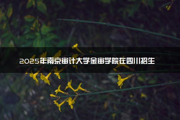 2025年南京审计大学金审学院在四川招生代码：3296 专业代码及报考指南