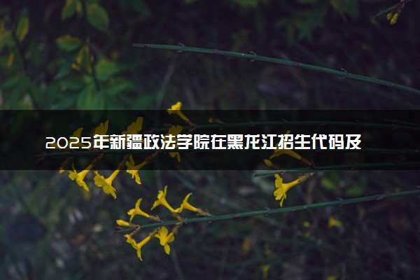 2025年新疆政法学院在黑龙江招生代码及专业代码 新疆政法学院黑龙江代码是多少？怎么查询？
