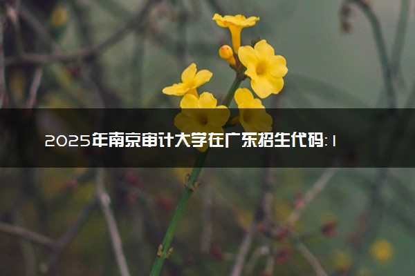 2025年南京审计大学在广东招生代码：11287 专业代码及报考指南