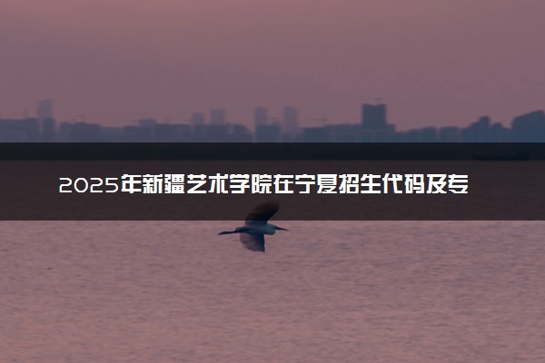 2025年新疆艺术学院在宁夏招生代码及专业代码 新疆艺术学院宁夏代码是多少？怎么查询？