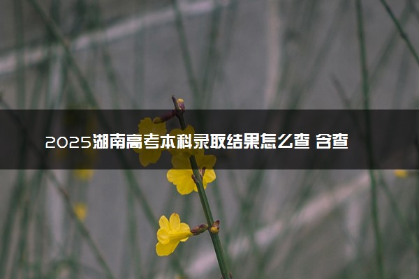 2025湖南高考本科录取结果怎么查 含查询时间及入口