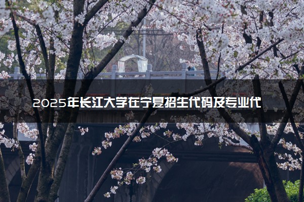 2025年长江大学在宁夏招生代码及专业代码 长江大学宁夏代码是多少？怎么查询？