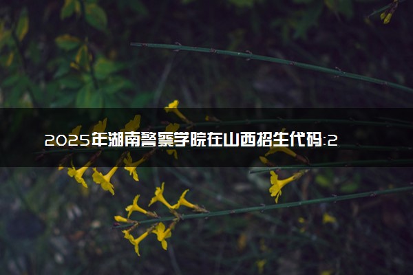 2025年湖南警察学院在山西招生代码：2271 专业代码及报考指南