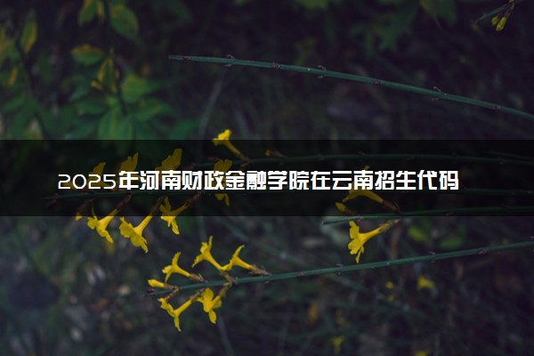 2025年河南财政金融学院在云南招生代码：4127 专业代码及报考指南