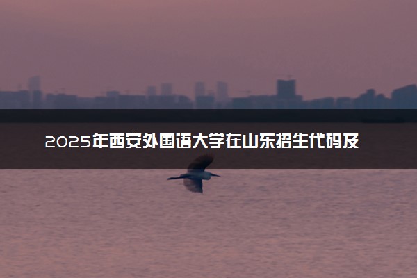 2025年西安外国语大学在山东招生代码及专业代码 西安外国语大学山东代码是多少？怎么查询？