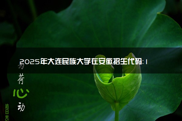 2025年大连民族大学在安徽招生代码：1228 专业代码及报考指南