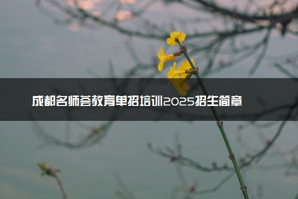 成都名师荟教育单招培训2025招生简章