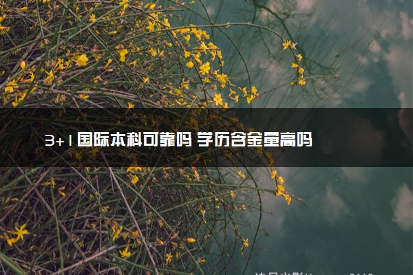 3+1国际本科可靠吗 学历含金量高吗