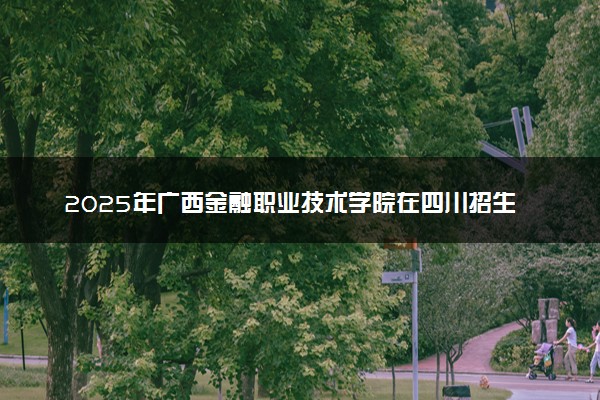 2025年广西金融职业技术学院在四川招生代码及专业代码 广西金融职业技术学院四川代码是多少？怎么查询？