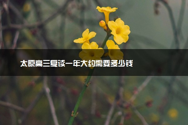 太原高三复读一年大约需要多少钱