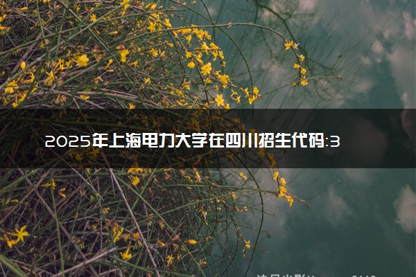 2025年上海电力大学在四川招生代码：3105 专业代码及报考指南