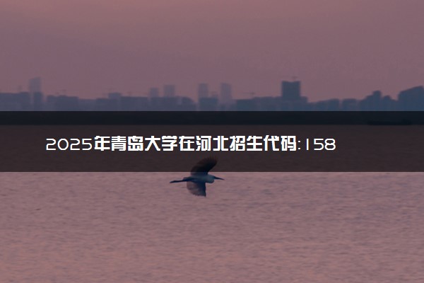 2025年青岛大学在河北招生代码：1584 专业代码及报考指南