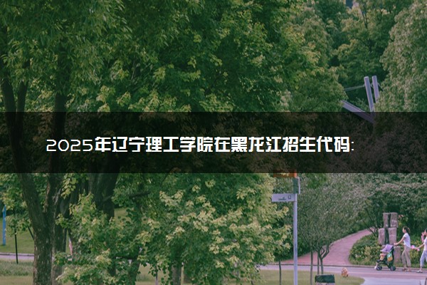 2025年辽宁理工学院在黑龙江招生代码：3133 专业代码及报考指南