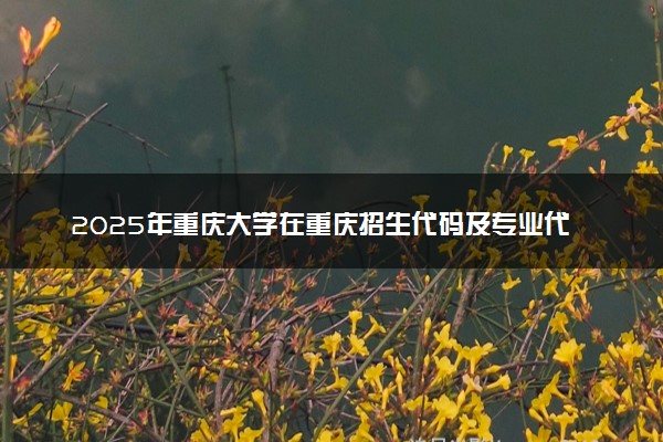 2025年重庆大学在重庆招生代码及专业代码 重庆大学重庆代码是多少？怎么查询？