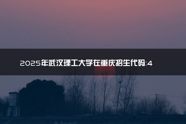 2025年武汉理工大学在重庆招生代码：4225 专业代码及报考指南
