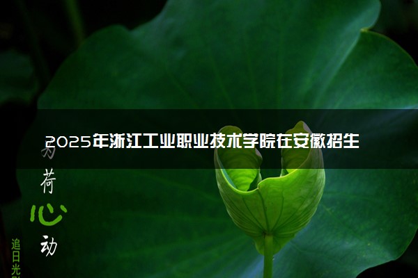 2025年浙江工业职业技术学院在安徽招生代码及专业代码 浙江工业职业技术学院安徽代码是多少？怎么查询？
