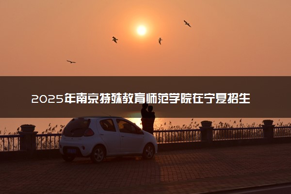 2025年南京特殊教育师范学院在宁夏招生代码：3277 专业代码及报考指南