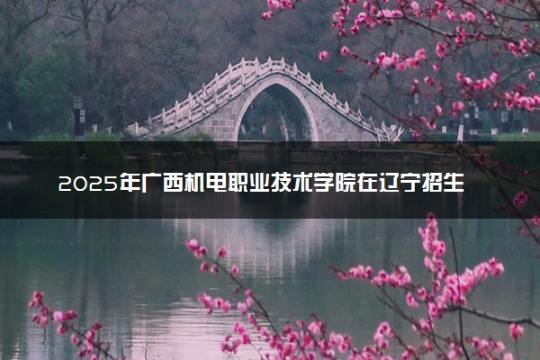 2025年广西机电职业技术学院在辽宁招生代码：0867 专业代码及报考指南