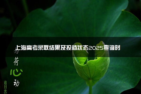 上海高考录取结果及投档状态2025查询时间及入口 查询方法有哪些