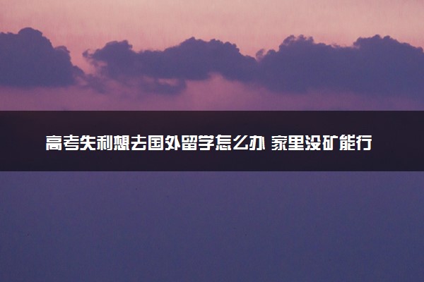高考失利想去国外留学怎么办 家里没矿能行吗