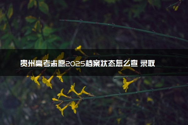贵州高考志愿2025档案状态怎么查 录取结果查询方法