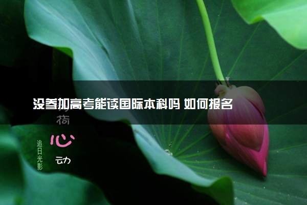没参加高考能读国际本科吗 如何报名