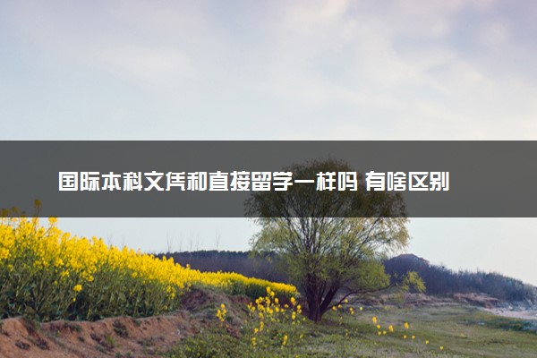 国际本科文凭和直接留学一样吗 有啥区别