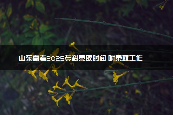 山东高考2025专科录取时间 附录取工作日程安排表