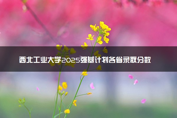 西北工业大学2025强基计划各省录取分数线是多少