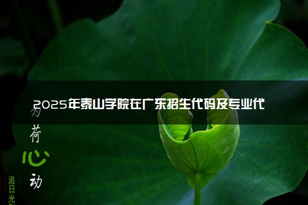 2025年泰山学院在广东招生代码及专业代码 泰山学院广东代码是多少？怎么查询？