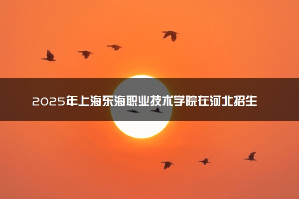2025年上海东海职业技术学院在河北招生代码：1796 专业代码及报考指南