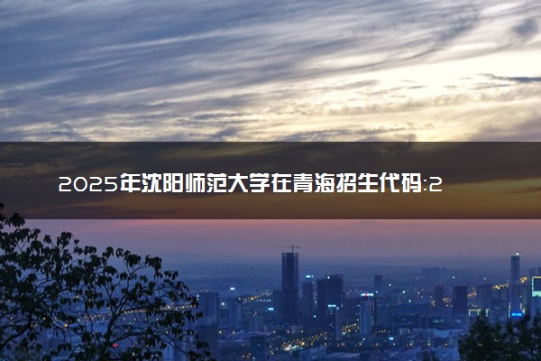 2025年沈阳师范大学在青海招生代码：2025 专业代码及报考指南
