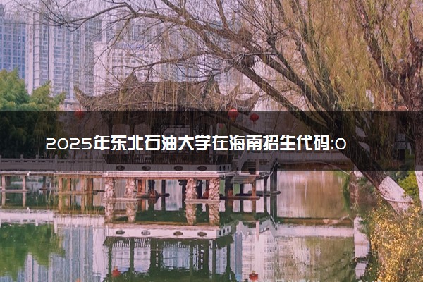 2025年东北石油大学在海南招生代码：0622 专业代码及报考指南