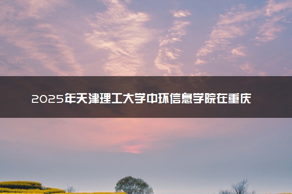 2025年天津理工大学中环信息学院在重庆招生代码：1246 专业代码及报考指南