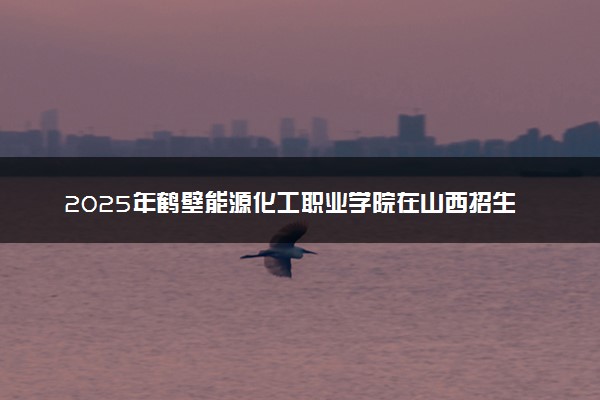 2025年鹤壁能源化工职业学院在山西招生代码：5316 专业代码及报考指南