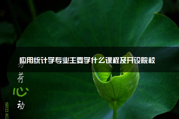 应用统计学专业主要学什么课程及开设院校 毕业后能干什么工作