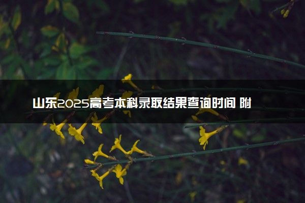 山东2025高考本科录取结果查询时间 附入口及录取状态查询方法