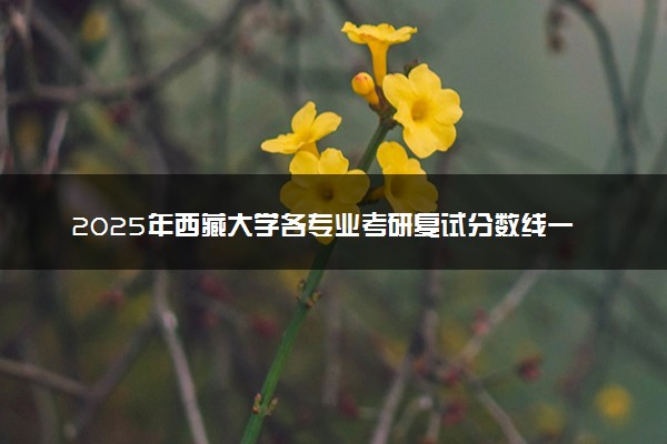 2025年西藏大学各专业考研复试分数线一览表 研究生考试一般多少分能上岸