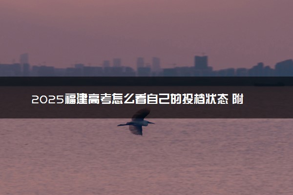2025福建高考怎么看自己的投档状态 附查询入口及方法