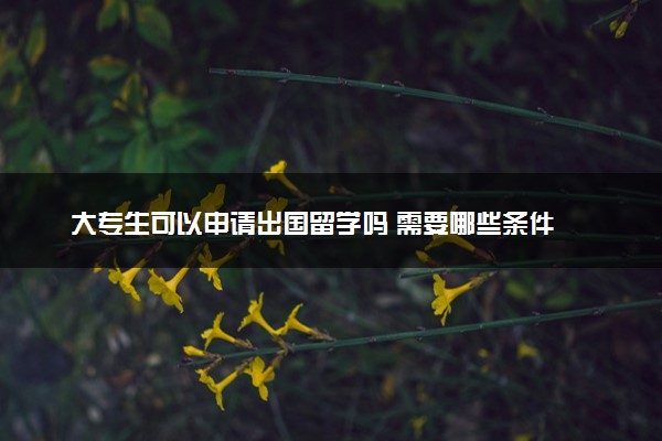 大专生可以申请出国留学吗 需要哪些条件