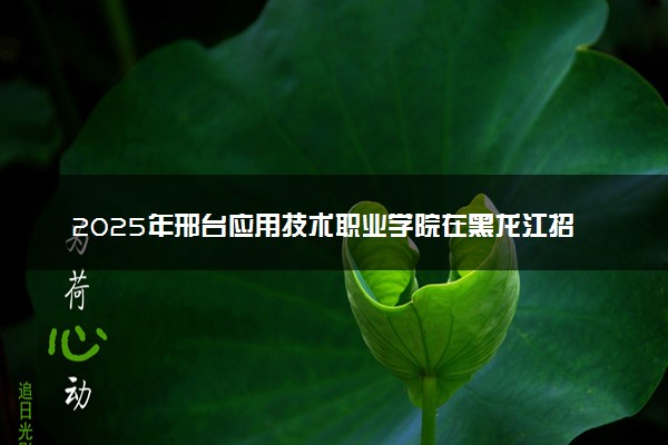 2025年邢台应用技术职业学院在黑龙江招生代码：4148 专业代码及报考指南